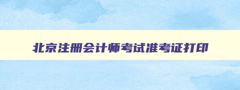 北京注册会计师考试准考证打印