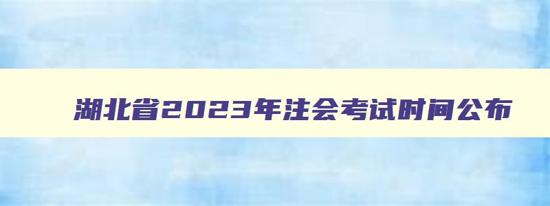 湖北省2023年注会考试时间公布,湖北省2023年注会考试时间