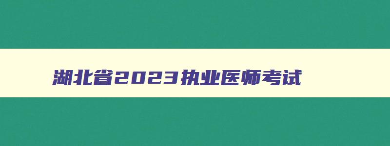 湖北省2023执业医师考试