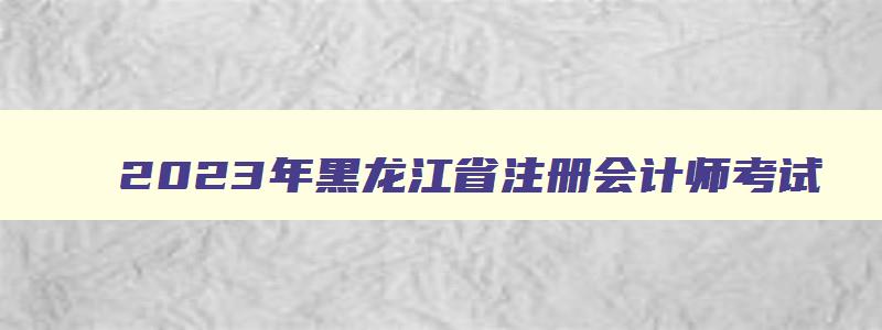 2023年黑龙江省注册会计师考试,2023年黑龙江注册会计师考试时间
