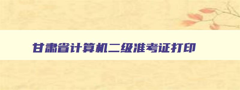 甘肃省计算机二级准考证打印,2023计算机二级准考证打印入口官网甘肃