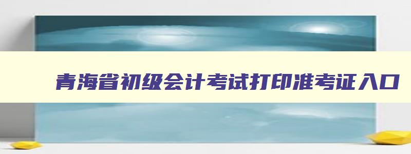 青海省初级会计考试打印准考证入口