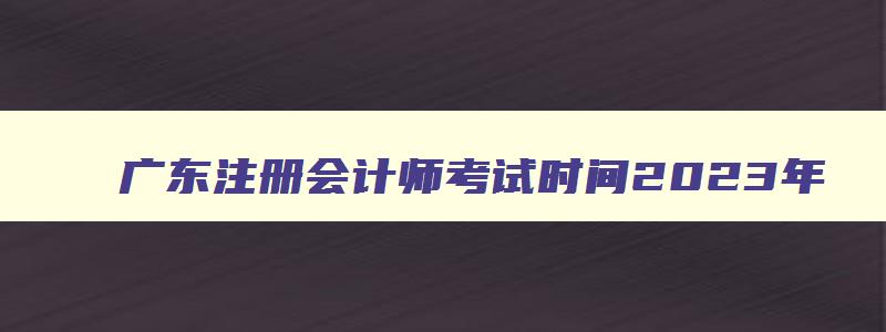 广东注册会计师考试时间2023年,2023广东省注册会计师考试时间