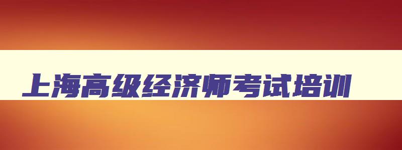 上海高级经济师考试培训,上海高级经济师考试辅导
