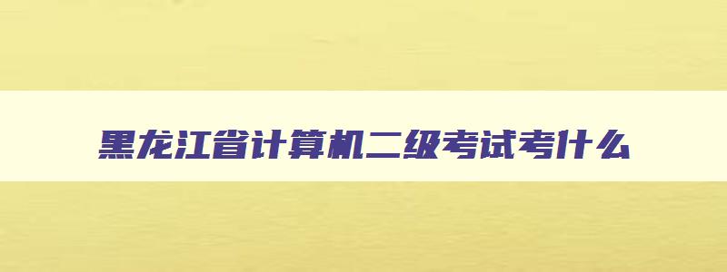 黑龙江省计算机二级考试考什么