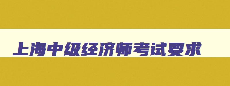 上海中级经济师考试要求,上海中级经济师考试内容