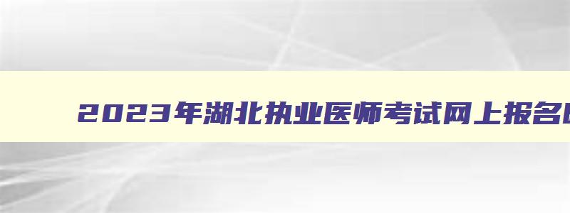 2023年湖北执业医师考试网上报名时间,湖北省执业医师操作考试时间