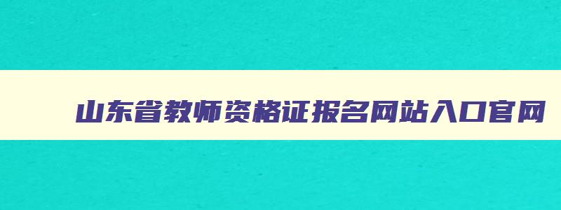 山东省教师资格证报名网站入口官网