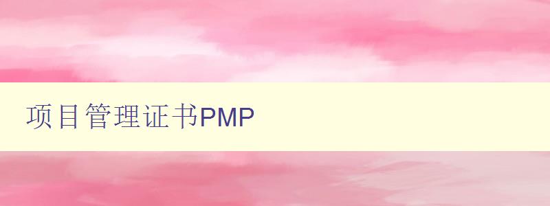 项目管理证书PMP