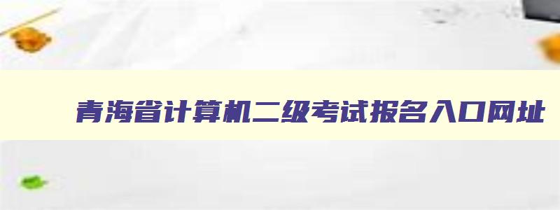 青海省计算机二级考试报名入口网址,青海省计算机二级考试报名入口